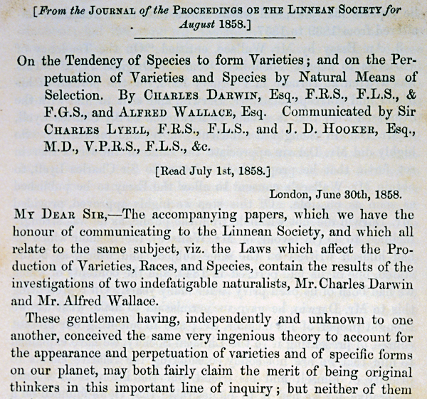 Part of the 1858 Darwin-Wallace paper. Copyright NHM.