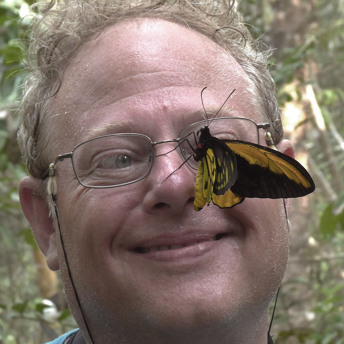 George with Wallace's Golden Birdwing butterfly on Bacan Island.
