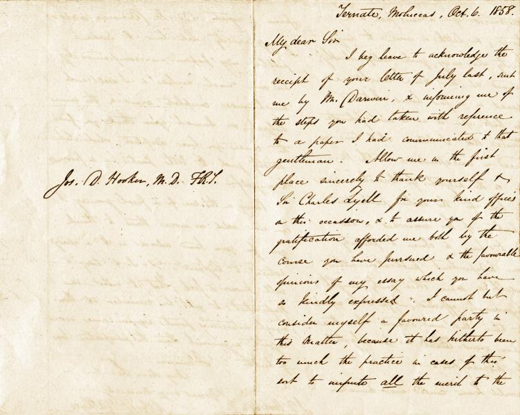Letter from ARW to Hooker. 1858.